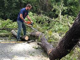 Seasonal Cleanup (Spring/Fall) in Purcellville, VA