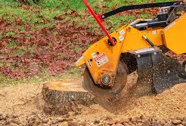 Best Tree Risk Assessment  in Purcellville, VA