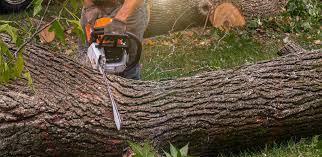 Best Lawn Irrigation Installation and Maintenance  in Purcellville, VA
