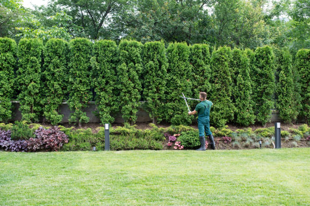 Best Arborist Consultation Services  in Purcellville, VA
