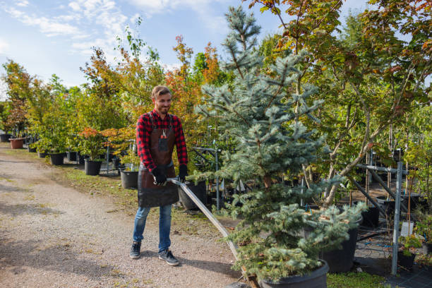 Best Commercial Tree Services  in Purcellville, VA